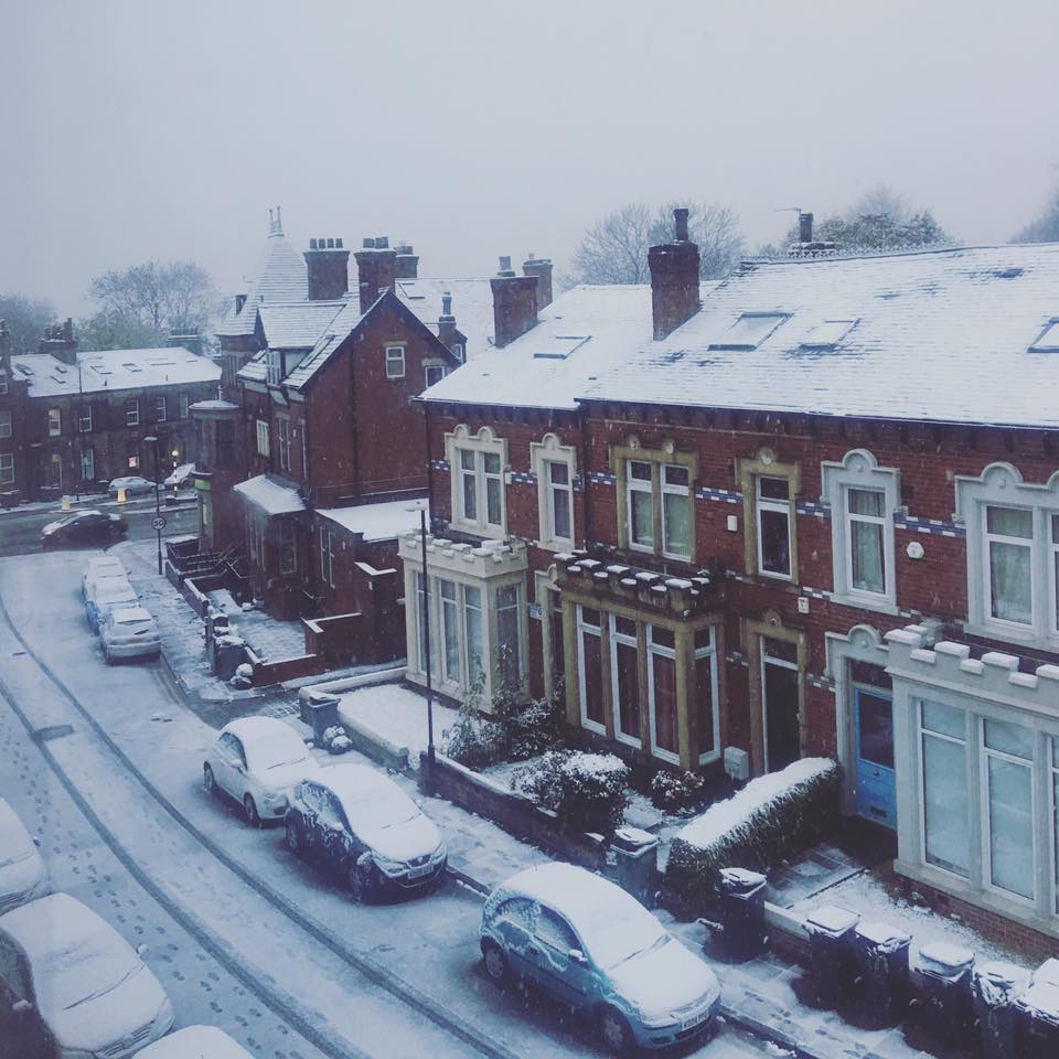 snow-1