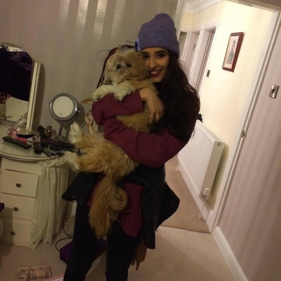 I'll stick to real dogs thank you