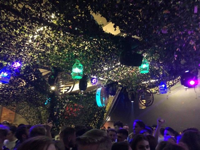 Image may contain: Flare, Audience, Confetti, Paper, Night Club, Light, Plant, Tree, Festival, Club, Crowd, Lighting, Human, Person, Night Life