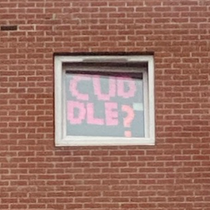 A window showing the message 'CUDDLE?"
