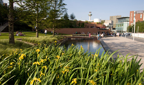 Chavasse Park