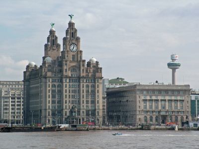 liver birds