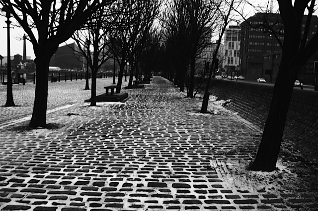 IMG_1267