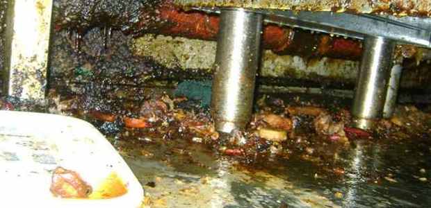 Buffet Star health hazard pics