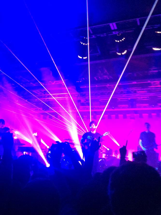 foals1