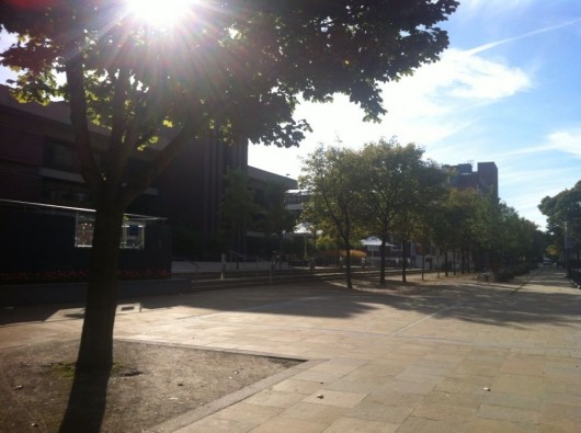 The mix of sunny spells and heavy rain is only worsening the problem
