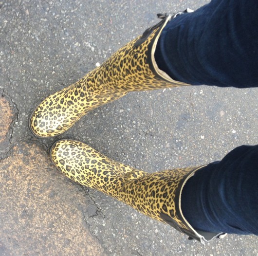 Until the blizzards hit lets keep the wellies at bay