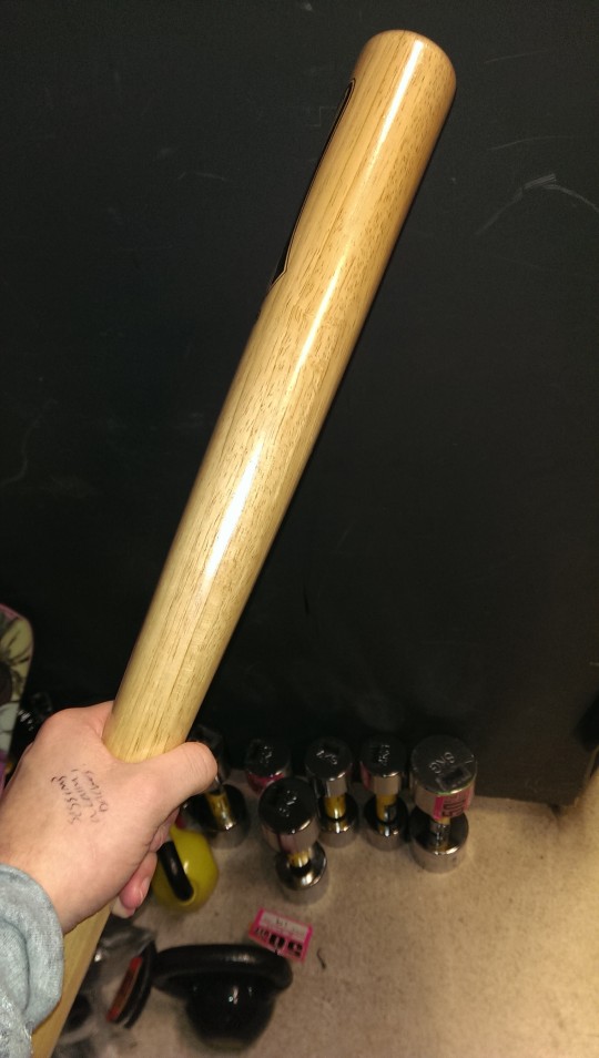 An example of an acceptable bat.