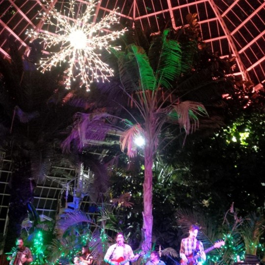 The Palm House, Sefton Park