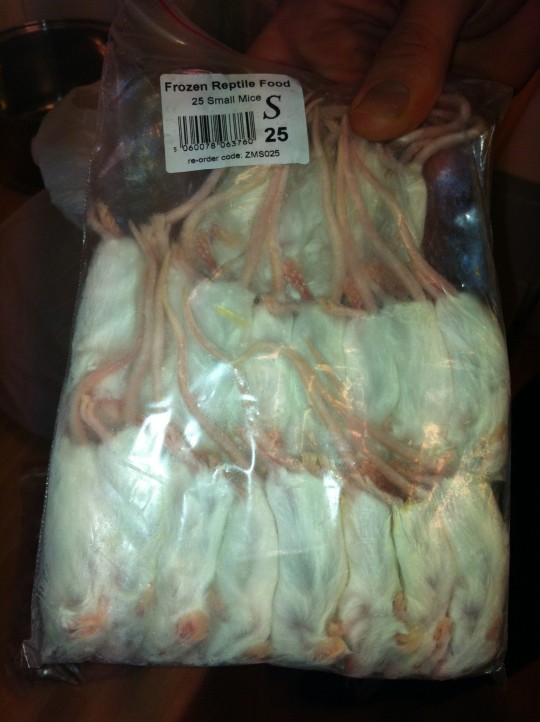 Frozen mice...