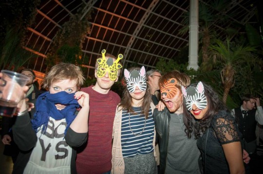 animals