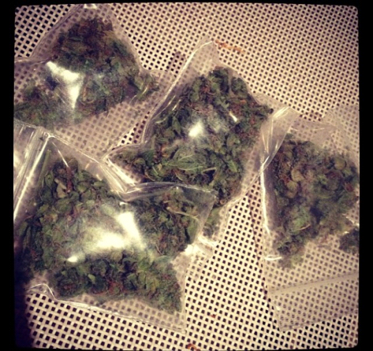 A Ganja King's daily supply