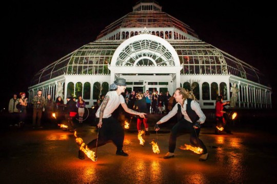 The Palm House, Sefton Park