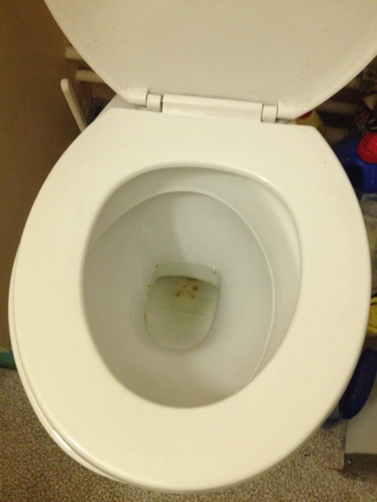 Skidmarks AND the toilet seat had been left up. Definitely delays revision by a good hour.