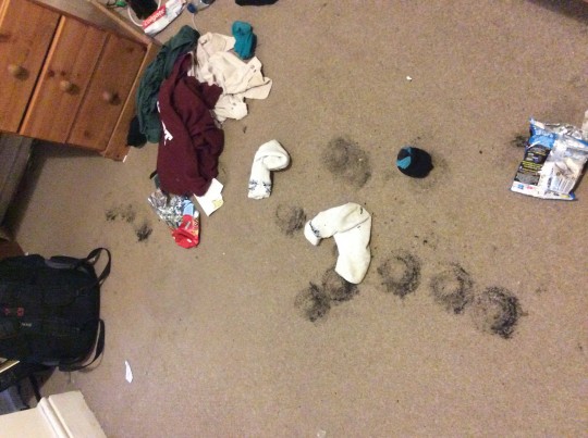 The suspects appear to have hooves