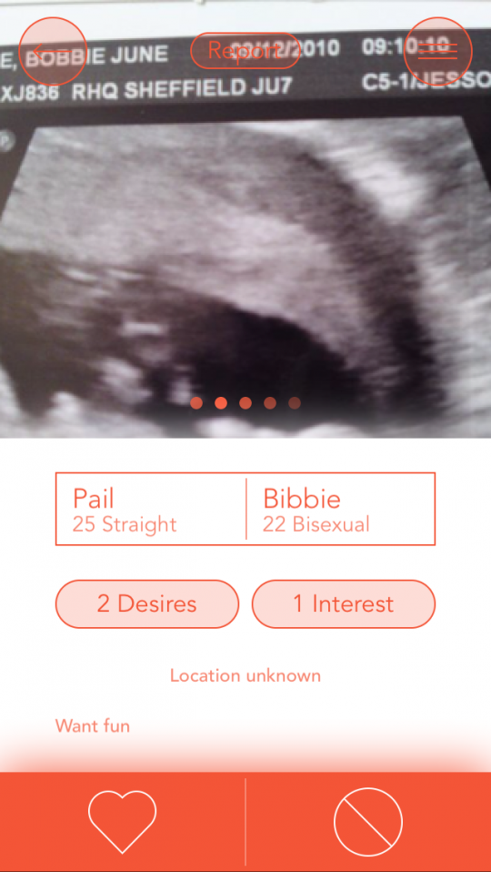 The Babymaker