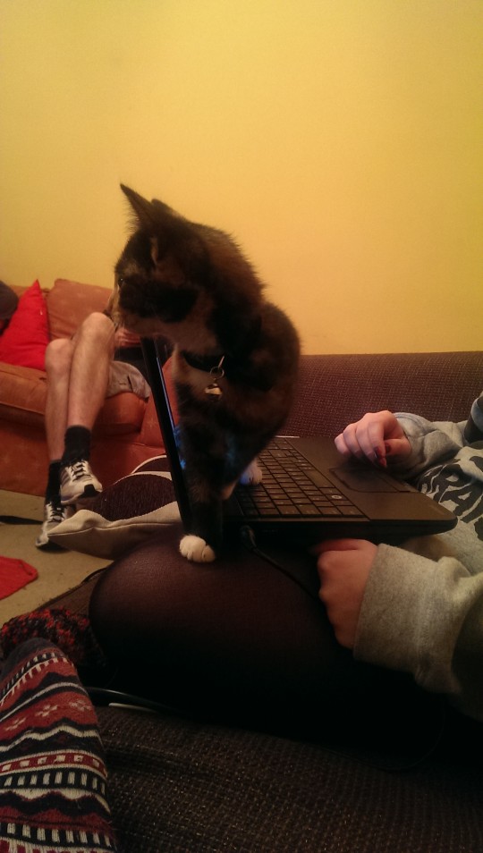 Giving Annie's essay a thorough proof-read