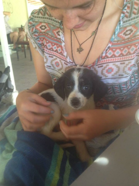 Tiny Athena in Greece