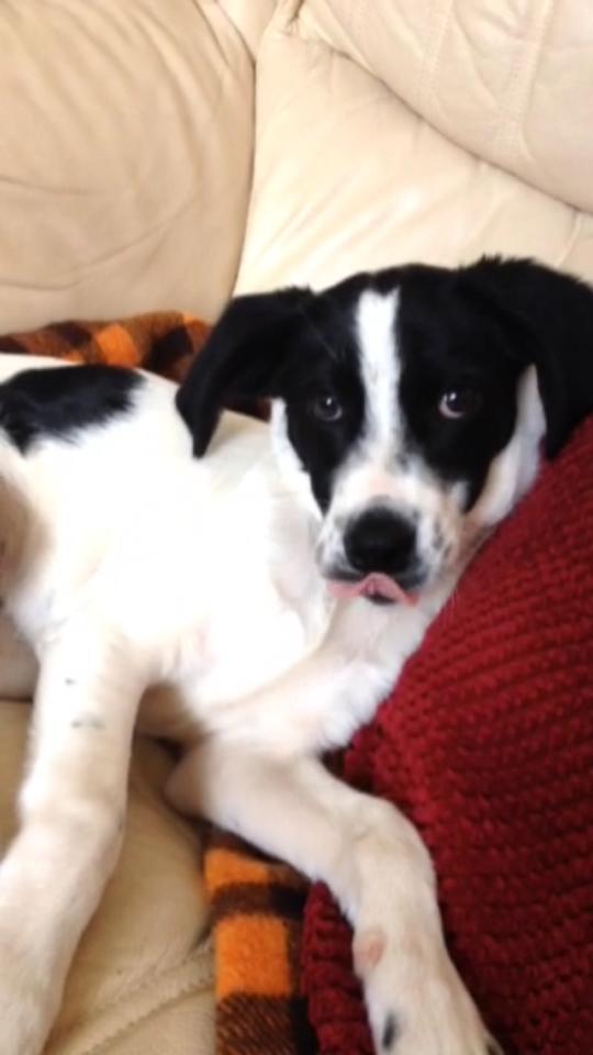 How could you resist this face?