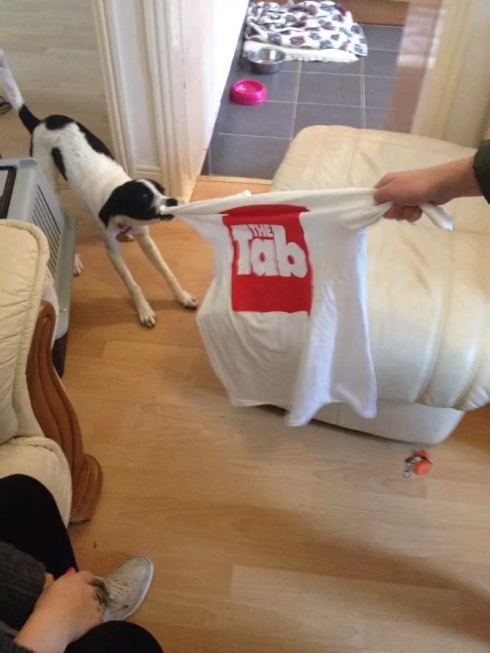 Sorry Athena, only writers get tshirts