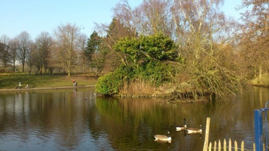 Beautiful sunny Liverpool day at Sefton Park before the onset of the Merseyside Flasher. 