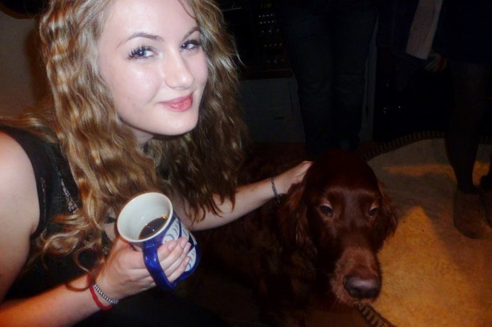 Good old British cuppa and a setter