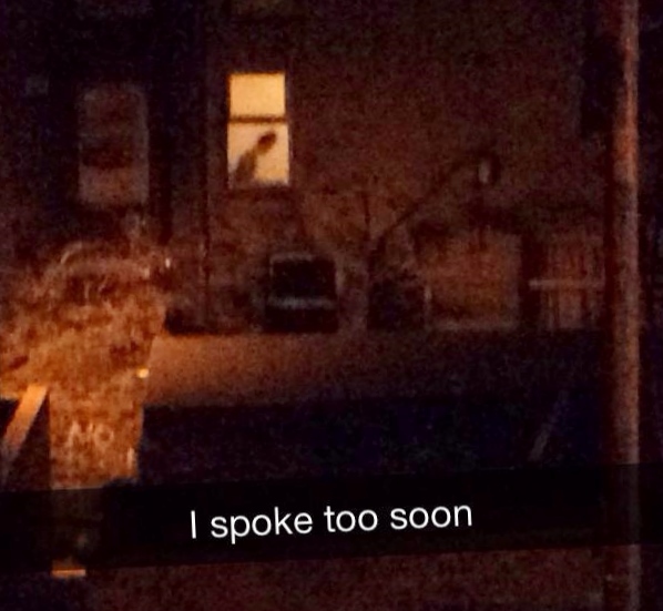 i spoke too soon