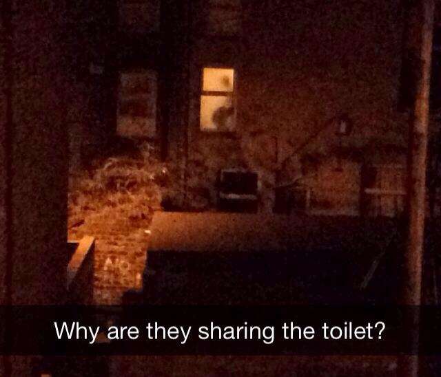 why are they sharing the toilet