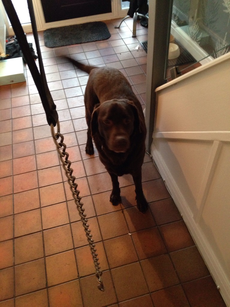 Please let me walk you