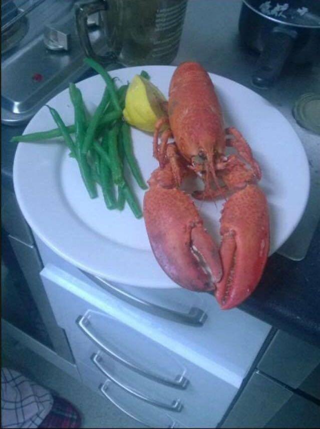 standard meal in crown place