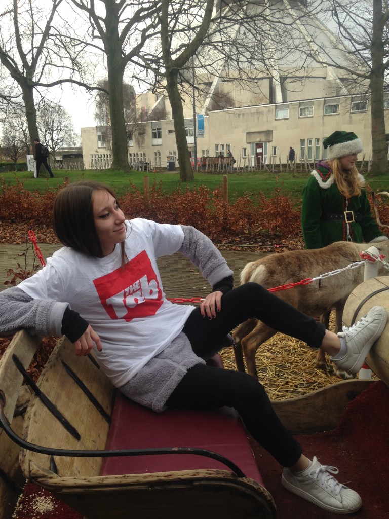 reindeer christmas guild