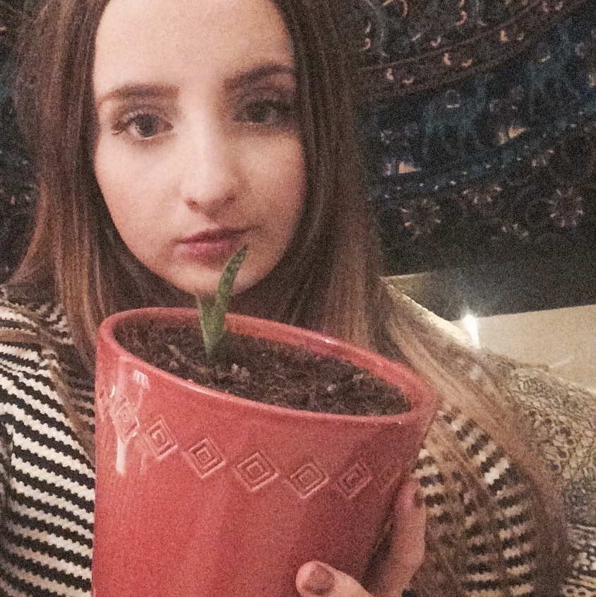 Say "Aloe" to Vera