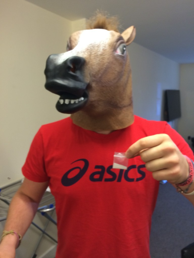 horse