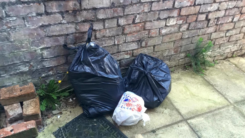 bin bags litter rubbish