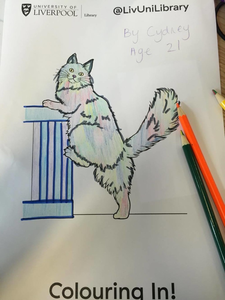 cat drawing cat library sj revision