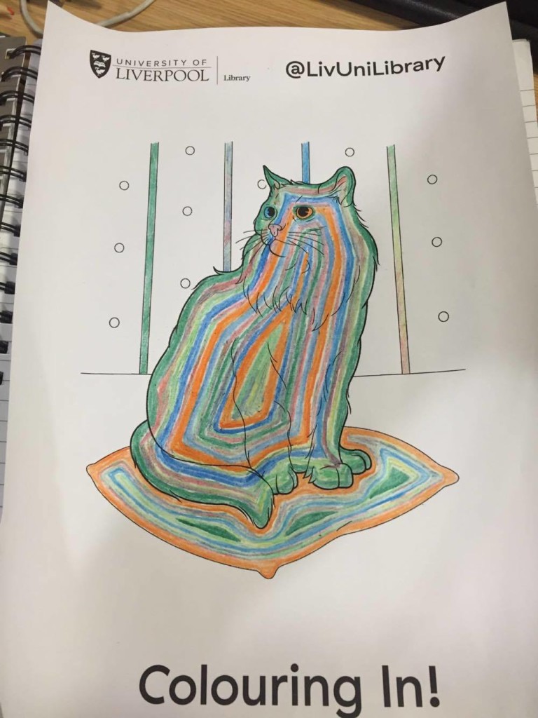 cat drawing cat library sj revision