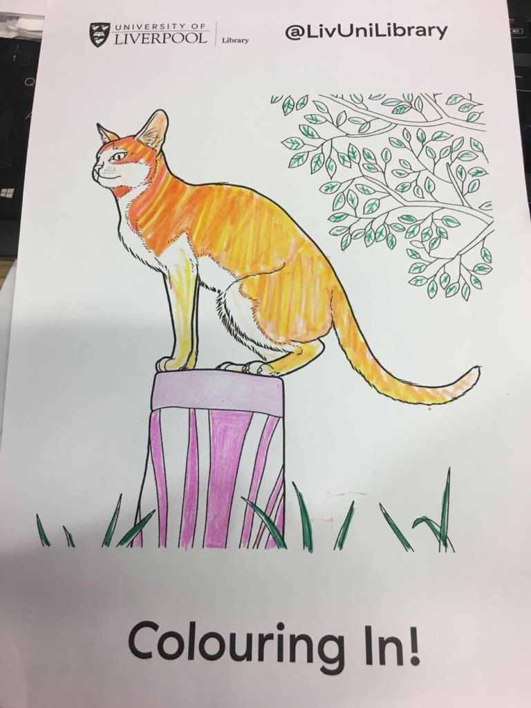 cat drawing cat library sj revision