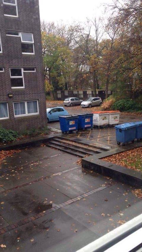 Carnatic Halls - Lovely view of some bins. At least there are trees, though...