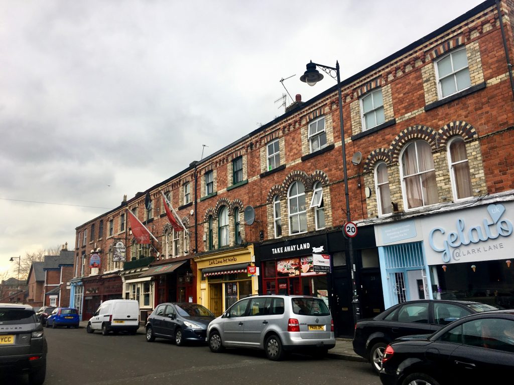 lark lane independent