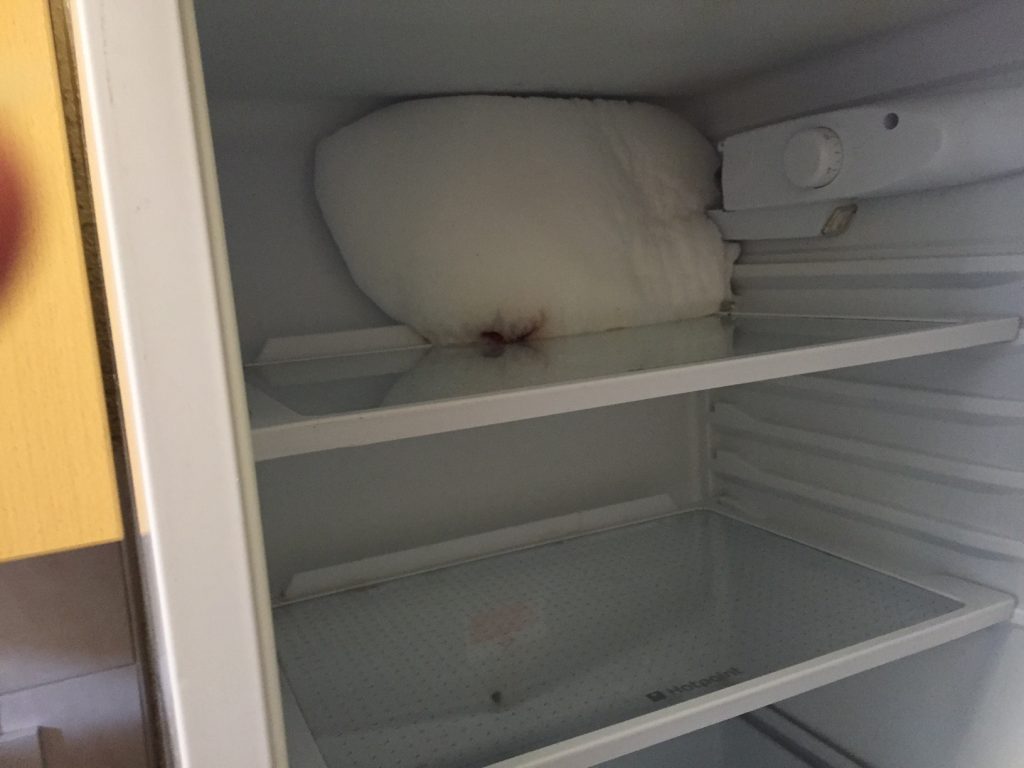 inside-fridge-1