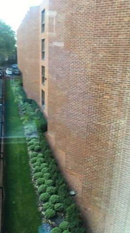 A never-ending wall. Does it end? We will never know.