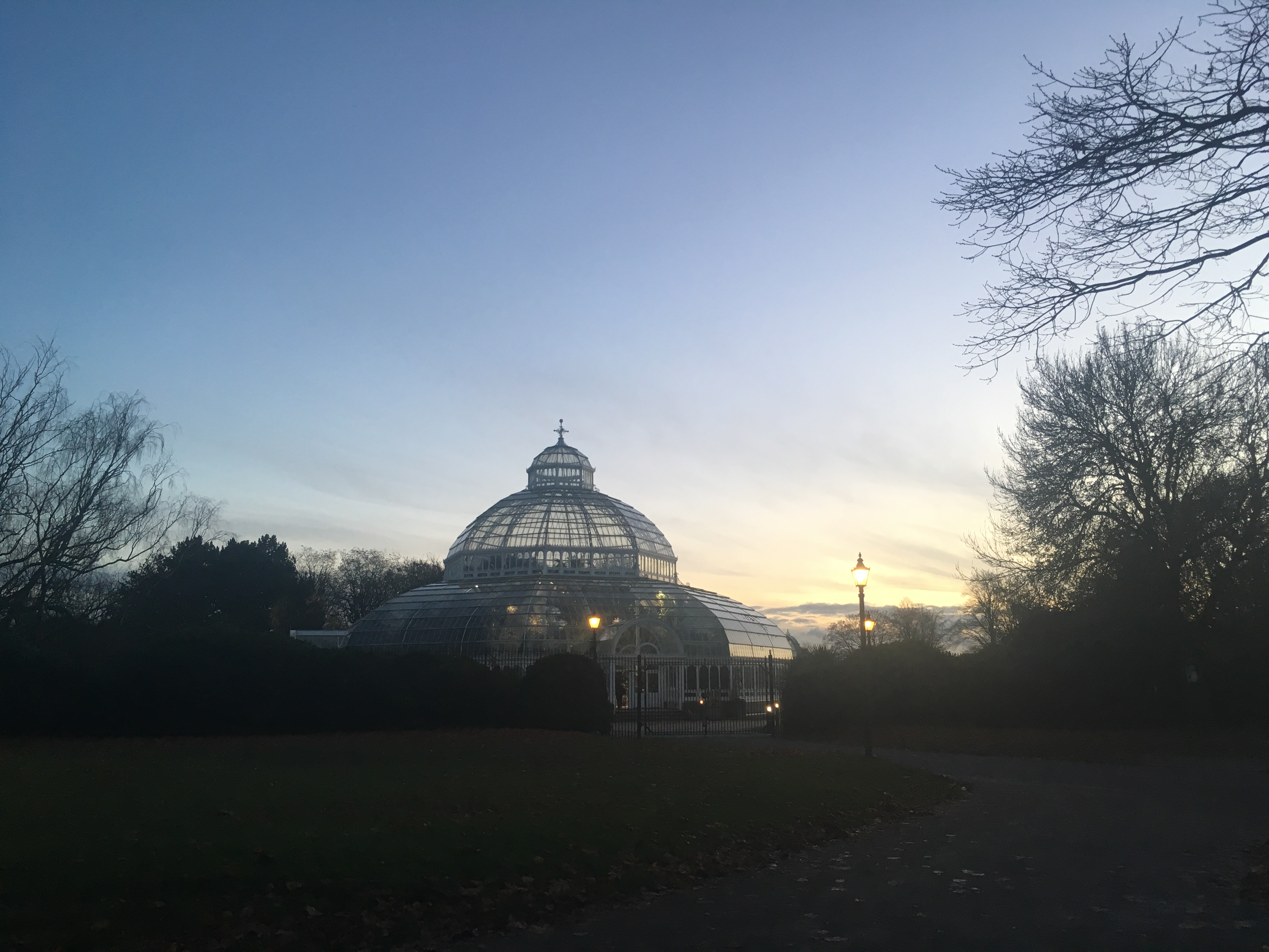 2016-11-20-16-26-31
