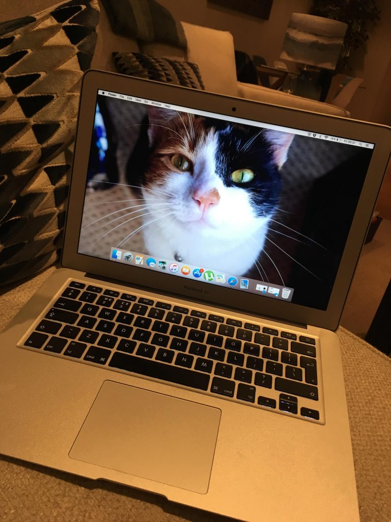 No, it's not remotely weird that your cat is your desktop backrground