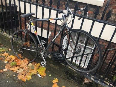 Image may contain: Leaf, Plant, Bicycle, Bike, Vehicle, Transportation