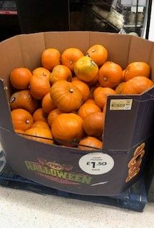Image may contain: Box, Produce, Food, Pumpkin, Vegetable, Plant
