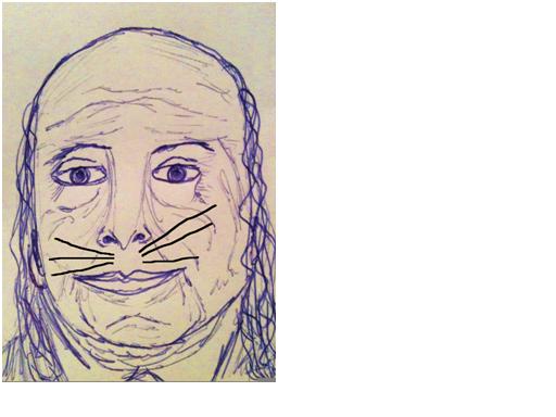 cat