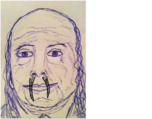 walrus