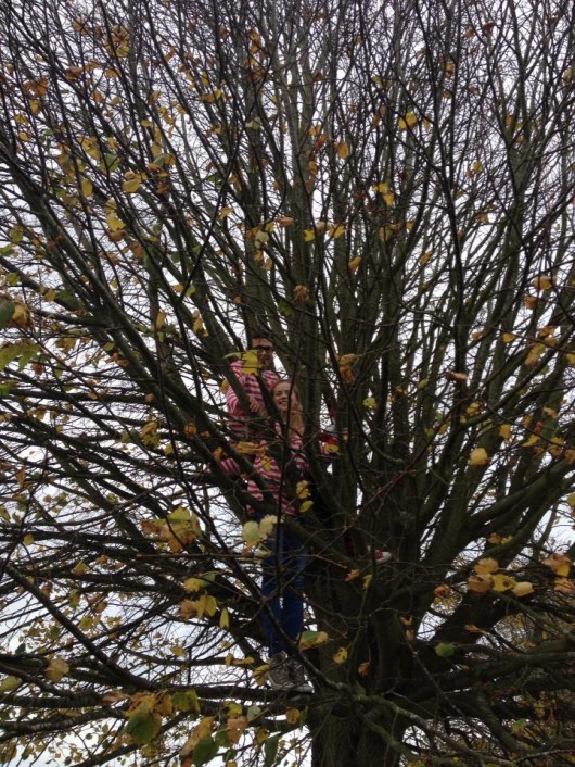 white chicks tree