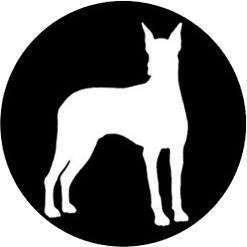 dobermann
