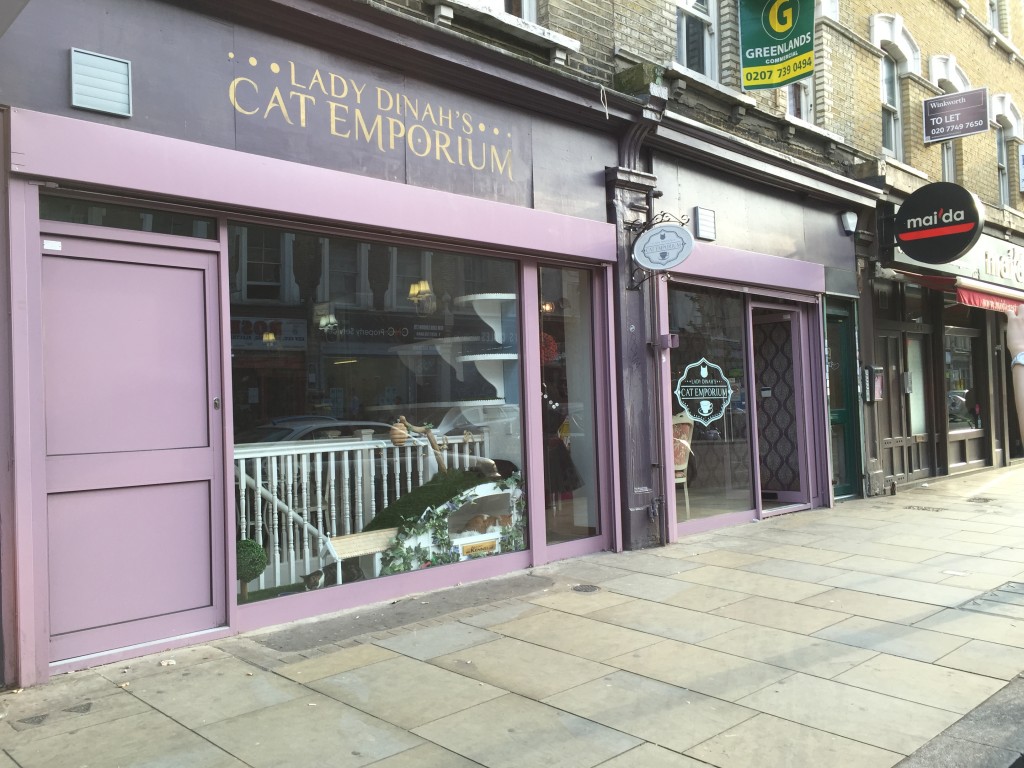 Cat lover's paradise. The normal frontage
